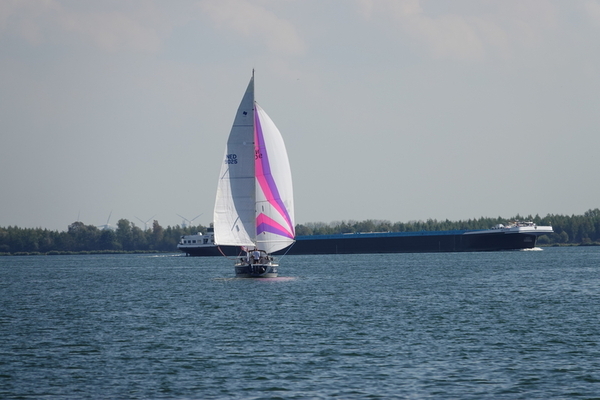 10-allegria-spi 10-allegria-spi